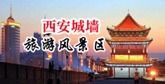 粉嫩淫女直接插入水穴汁液中国陕西-西安城墙旅游风景区