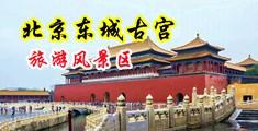 嗯啊啊大黑屌太粗了太紧了中国北京-东城古宫旅游风景区
